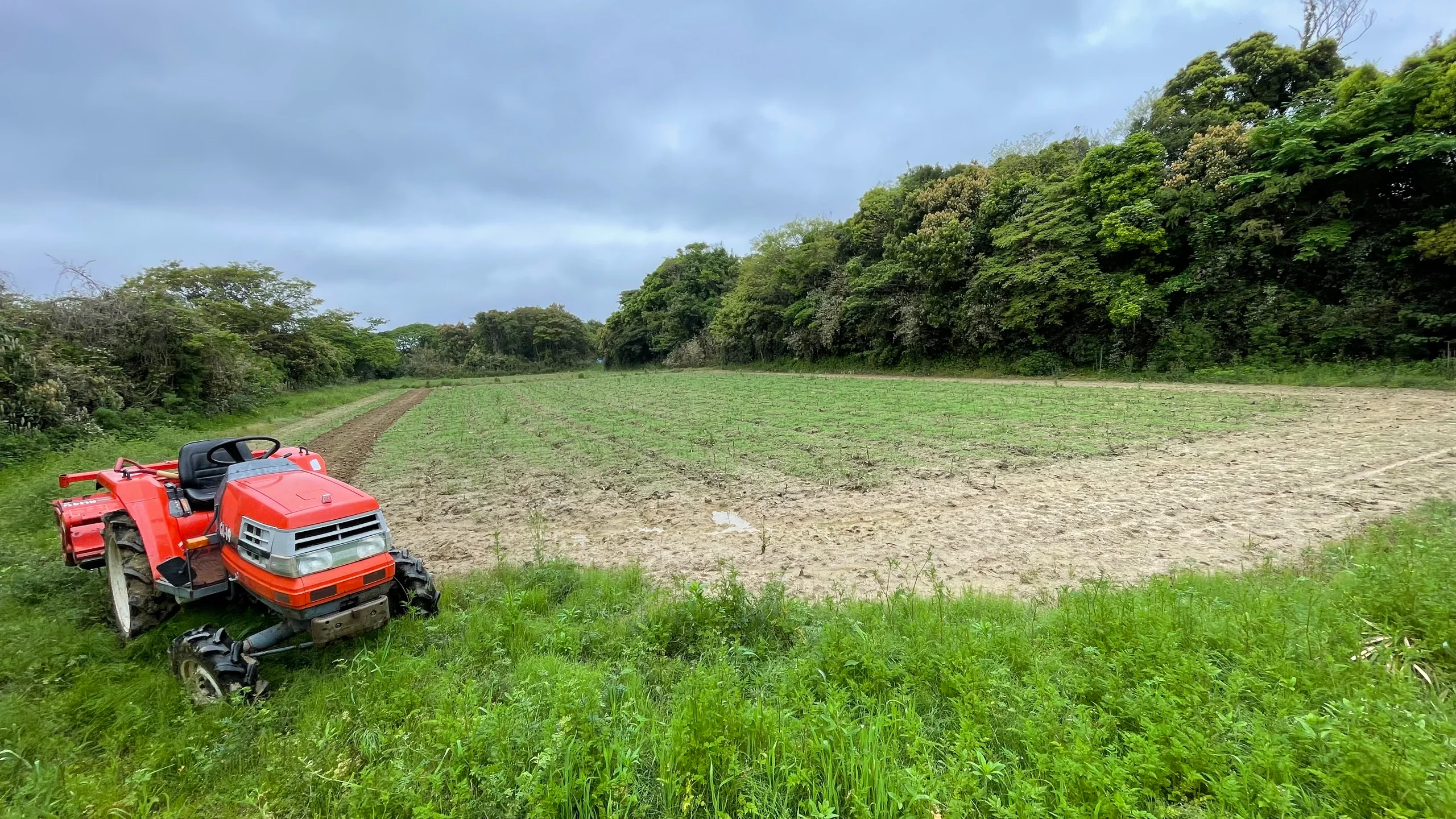 糸島どんたく農園