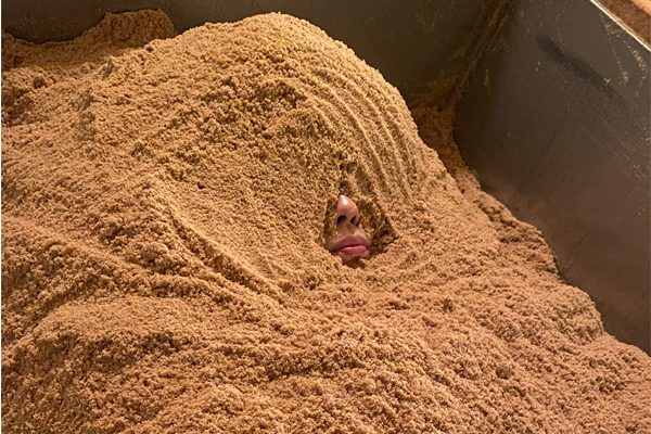 お顔まで温める